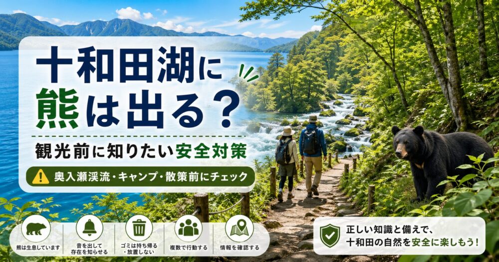 十和田湖の熊出没情報まとめ｜観光前に知っておきたい安全対策