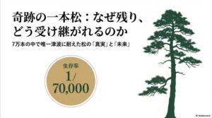 奇跡の一本松はなぜ残った？現在の姿や枯れた理由、保存費用を解説