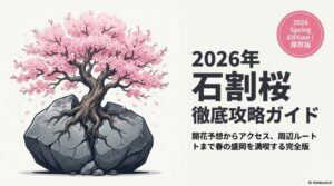 2026年石割桜の開花予想！見頃や駐車場・アクセス徹底ガイド